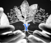 GREENFIELD INVESTMENT