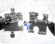 DEVELOPMENT MANAGEMENT