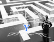 STRATEGIC INVESTMENT